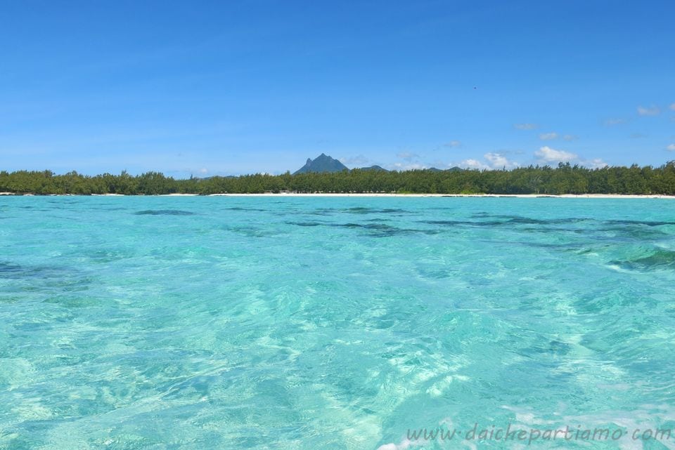 L'isola dei cervi